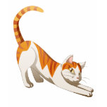 Henry Cat T-shirt
