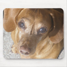 Henry the dachshund mousepad
