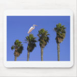 Henry the Heron+PalmTrees mousepads