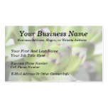 Hens And Chicks - Sempervivum Business Cards