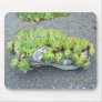 Hens & Chicks in Training (shoe) ~ mousepad