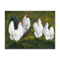 "Hens & Rooster" Art Reproduction Postcard