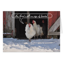 Hens waiting for Santa christmas card
