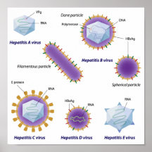 Hepatitis viruses comparison Poster