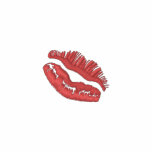 Her Kiss Embroidered Shirt embroidered shirts
