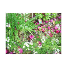 Herb collection chives photograph art stretched canvas prints
