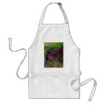 Herb Garden Apron