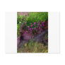 Herb Garden Post Cards
