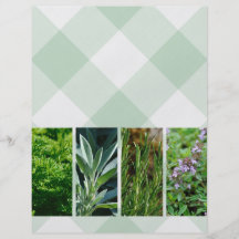 Herb plants blank flyer