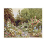 Herbaceous Border postcards
