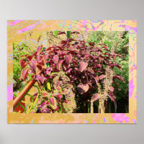 Herbal Sense -   AWGP Haridwar Print