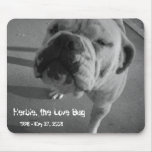 Herbie, the Love Bug mousepads