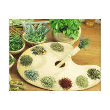 Herbs and spices canvas prints