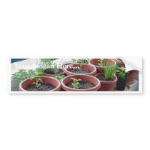 Herbs Spices Peppers Home Garden Bumper Sticker