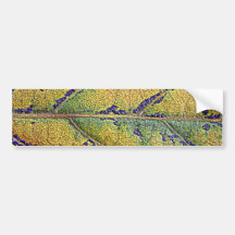 Herbstblatt - by AbBe Bumper Sticker