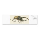 Hercules Beetle Bumper Stickers