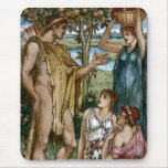 Hercules & the Nymphs mousepads