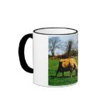 HERD OF JERSEY COWS COFFEE MUGS