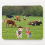 Herding Cats mousepads