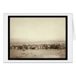 Herding Cattle at Moss Agate SD 1887 cards