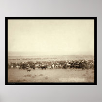 Herding Cattle at Moss Agate SD 1887 Print