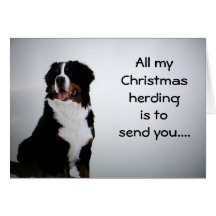 HERDING CHRISTMAS WISHES FOR YOU GREETING CARDS