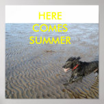 HERE COMES SUMMER POSTER