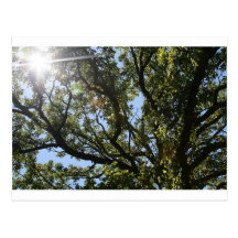 "here comes the sun" by Coressel Productions Post Card