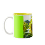 Here Comes the Sun--Mug