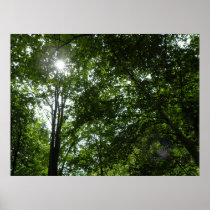 Here Comes the Sun Posters