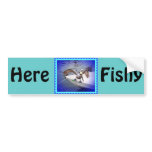 Here Fishy, Fishy... bumper stickers