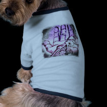here for you pet clothing