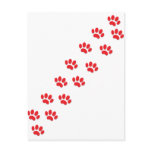 Here Kitty Cat Paws Post Card