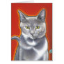 Here Kitty Kitty! Card