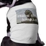 Here Little Kitty pet clothing