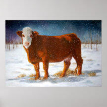 HEREFORD BEEF IN SNOW: ART: CANVAS PRINT