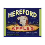 Hereford Washington Apples postcards