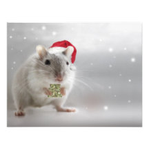 Here's a little Christmas gift for you xxx Announcements