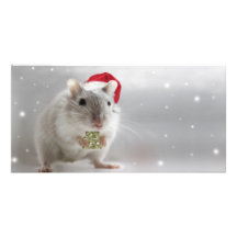 Here's a little Christmas gift for you xxx Customized Photo Card