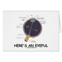 Here's An Eyeful (Eye Anatomy Humour) Greeting Cards