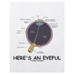 Here's An Eyeful (Eye Anatomy Humour) flyers