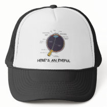 Here's An Eyeful (Eye Anatomy Humour)