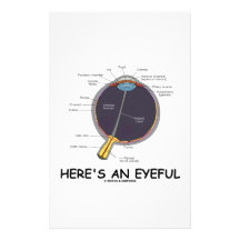 Here's An Eyeful (Eye Anatomy Humour) Stationery Paper