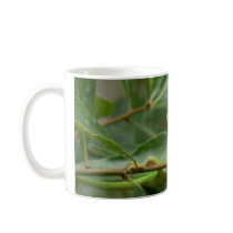 Here's Lizard Looking at You Coffee Mug
