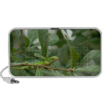 Here's Lizard Looking at You Travel Speaker