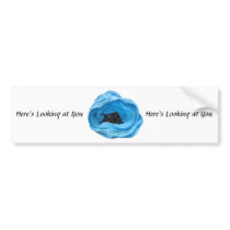 Here's Looking at You Bumper Sticker