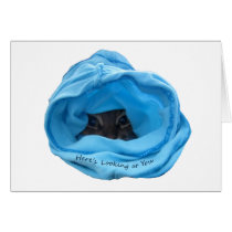 Here's Looking at You Greeting Card