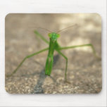 Here's Looking At You (Front) Mousepad