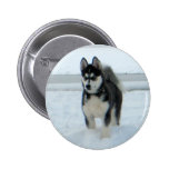 Here's Trouble Pinback Buttons