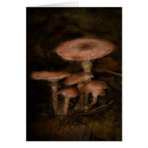 Herfst Wenskaarten